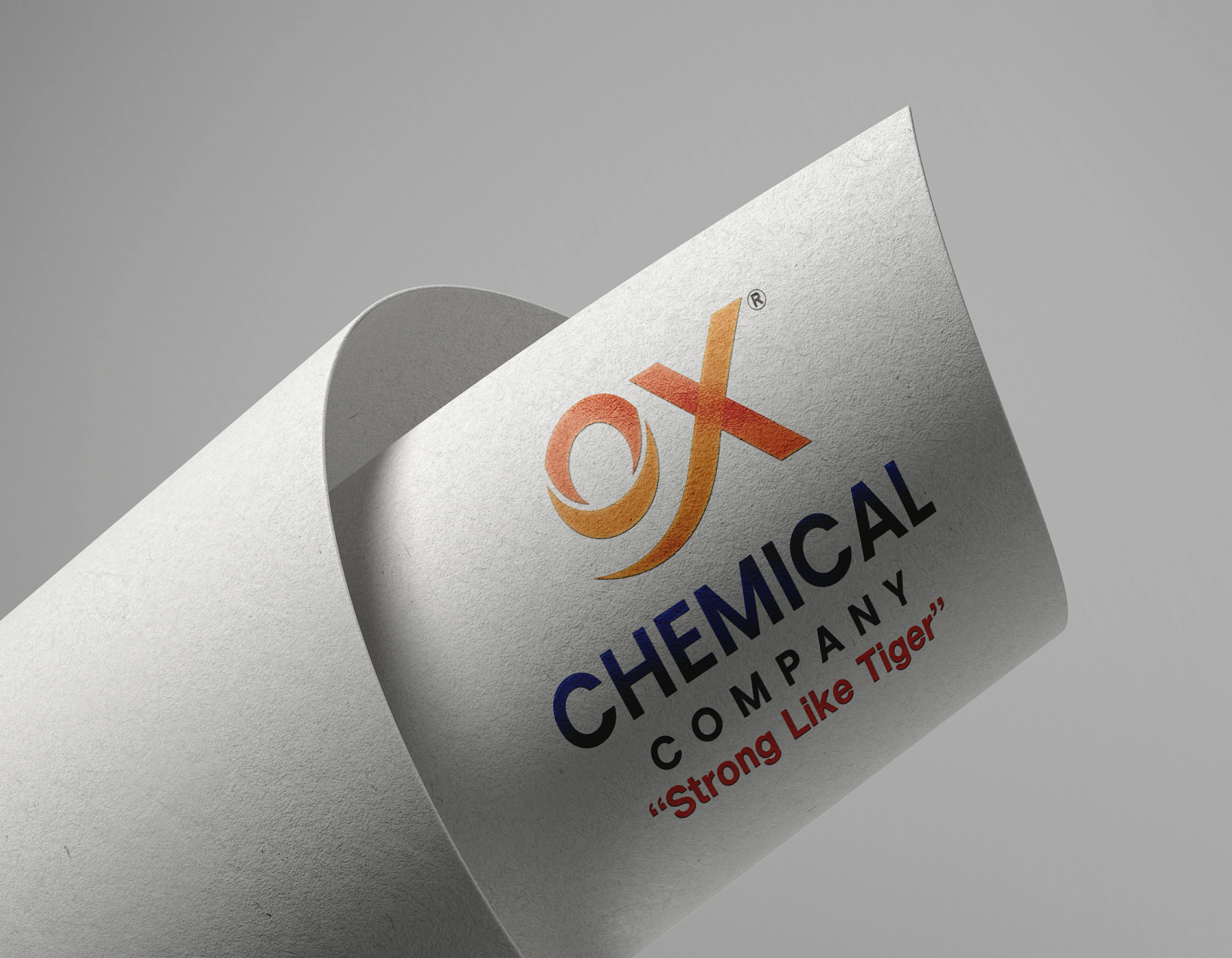 Logo Design project image 21