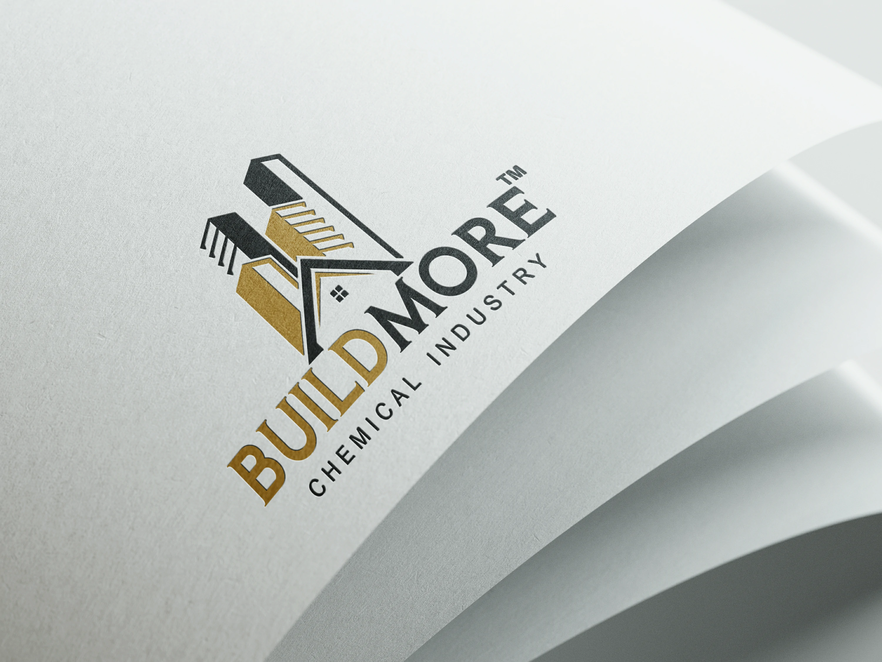 Logo Design project image 26